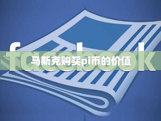 马斯克购买pi币的价值