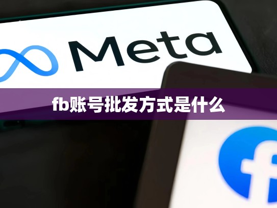 fb账号批发方式是什么