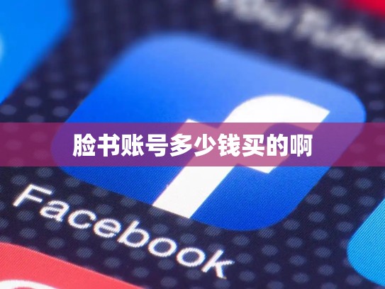 脸书账号多少钱买的啊