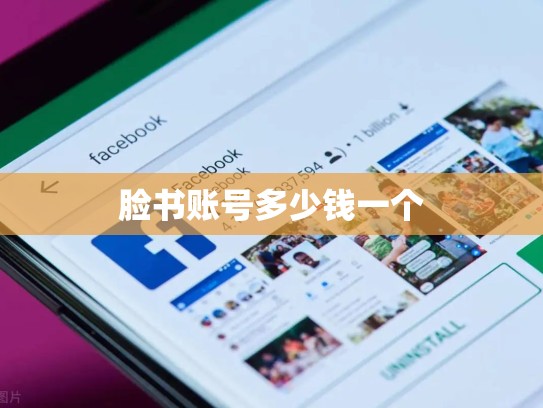 脸书账号多少钱一个