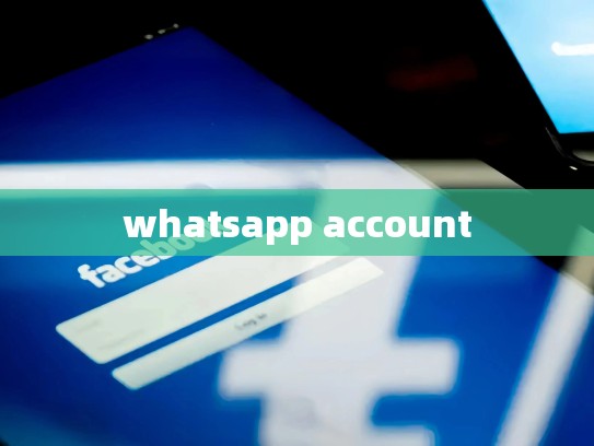 whatsapp account