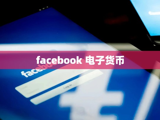 facebook 电子货币