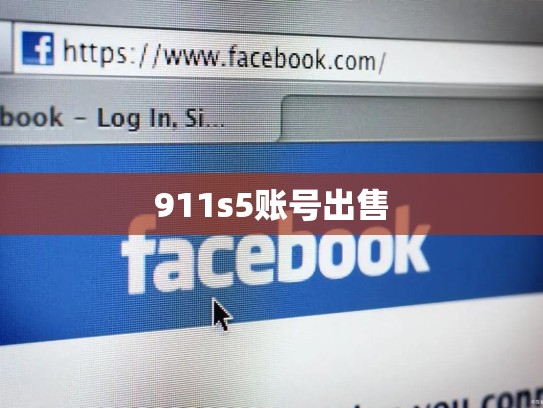 911s5账号出售