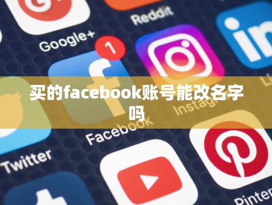 买的facebook账号能改名字吗