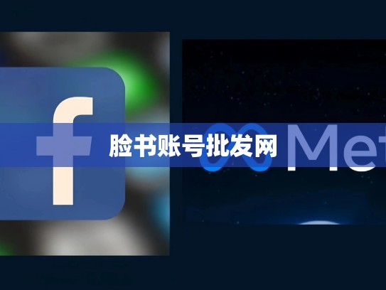 脸书账号批发网