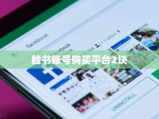 脸书账号购买平台2块