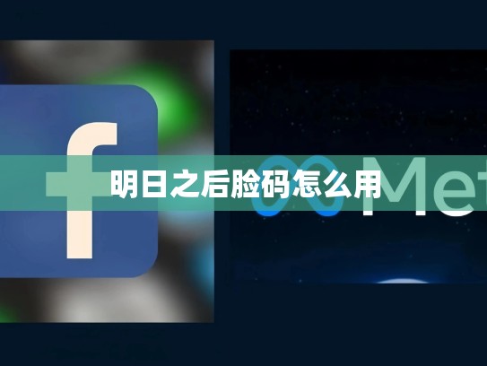 明日之后脸码怎么用
